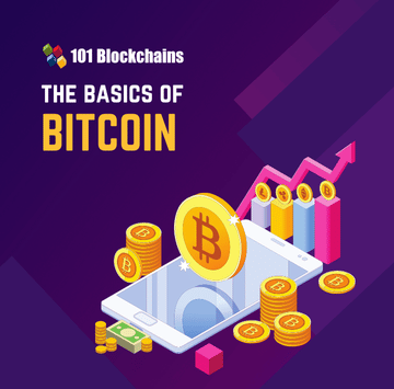The Essential Bitcoin Handbook
