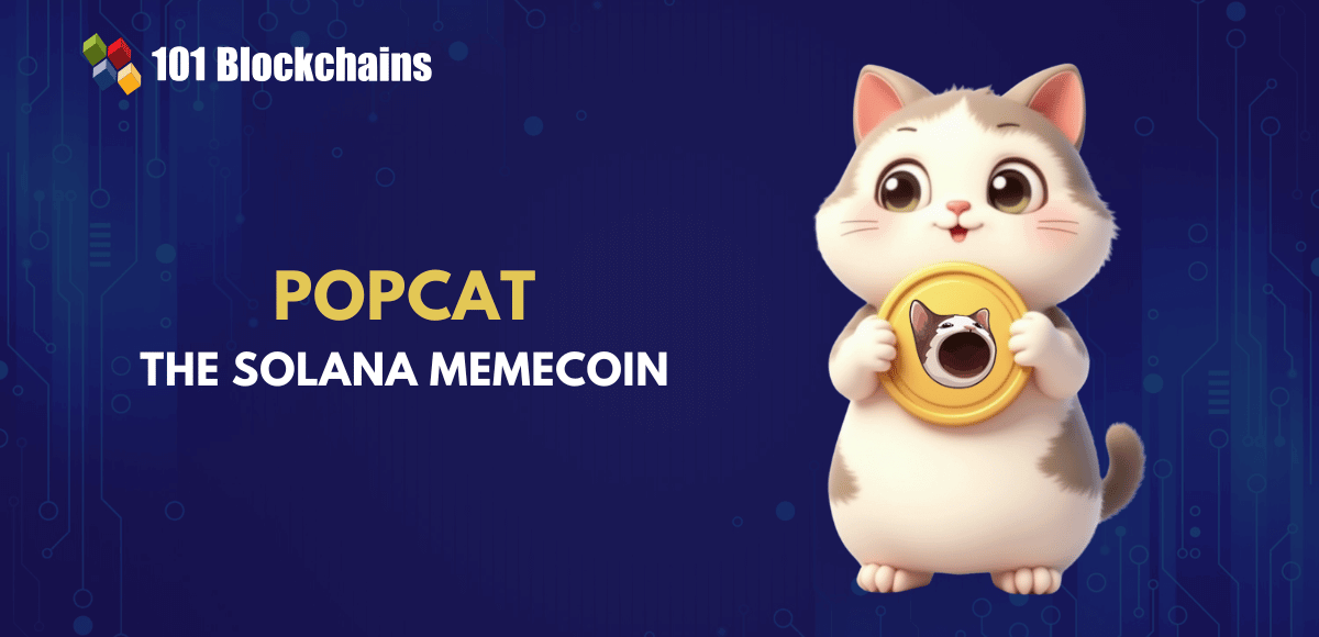 Popcat Solana memecoin